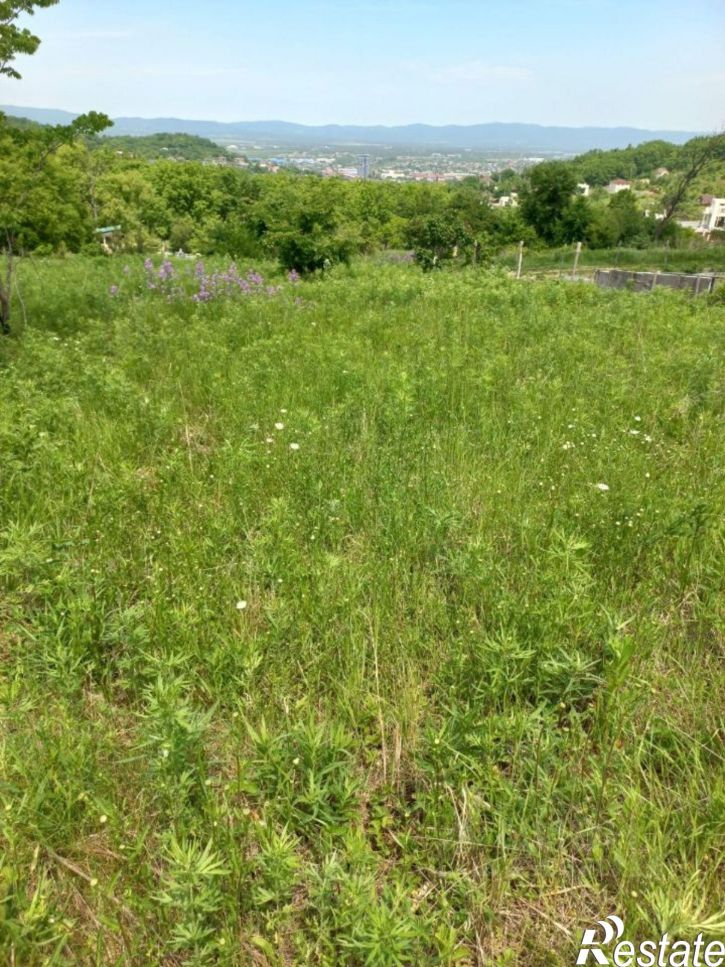 Земельный участок